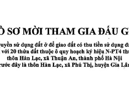 Hồ sơ mời tham gia đấu giá QSD đất tại thôn Hàn Lạc - xã Thuận An - TP. Hà Nội