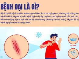 Tăng cường tuyên truyền phòng, chống bệnh dại – Chủ động bảo vệ sức khỏe cộng đồng