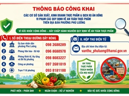 Thông báo công khai các cơ sở sản xuất, kinh doanh thực phẩm & dịch vụ ăn uống vi phạm các quy định về an toàn thực phẩm