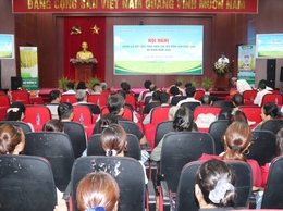 Hội nghị đánh giá kết quả thực hiện các mô hình sản xuất lúa vụ xuân năm 2026