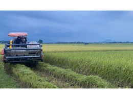 HƯỚNG DẪN