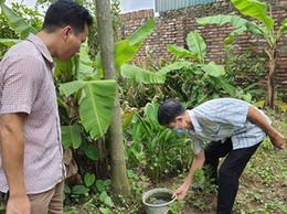 Hoài đức lập 198 đội xung kích và 67 tổ giám sát phòng, chống sốt xuất huyết với quyết tâm dập dịch từ gốc