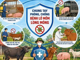 Khuyến cáo phòng chống bệnh lở mồm long móng Serotype SAT-1 trên gia súc