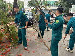 PHƯỜNG NGHĨA ĐÔ KỊP THỜI XỬ LÝ CÂY XANH BẬT GỐC TẠI NGÕ 203 ĐƯỜNG HOÀNG QUỐC VIỆT