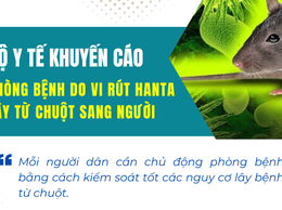 Bộ Y tế khuyến cáo phòng bệnh do vi rút Hanta lây từ chuột sang người