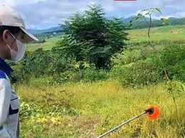 Sử dụng thuốc diệt cỏ đúng cách – Bảo vệ sức khỏe và môi trường