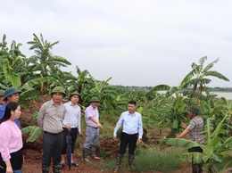 Xã Phú Xuyên Chủ động Phòng Chống Thiên tai