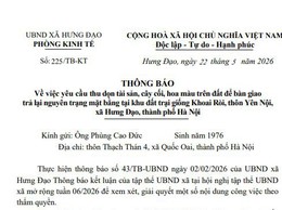 THÔNG BÁO 
Về việc yêu cầu thu dọn tài sản, cây cối, hoa màu trên đất để bàn giao trả lại nguyên trạng mặt bằng tại khu đất trại giống Khoai Ròi, thôn Yên Nội, xã Hưng Đạo, thành phố Hà Nội
