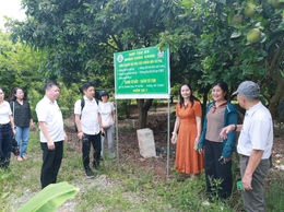 Đoàn Công tác của Sở Du lịch Hà Nội khảo sát, đánh giá tính khả thi và điều kiện đáp ứng để triển khai nhiệm vụ xây dựng sản phẩm du lịch nông nghiệp, nông thôn tại xã Minh Châu.