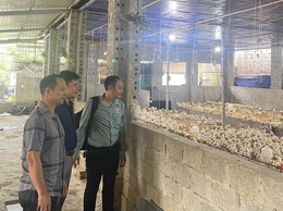 Hội Nông dân xã Phú Nghĩa tổ chức thẩm định phương án vay vốn Quỹ hỗ trợ nông dân