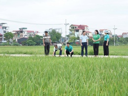 Thẩm định thực tế các phương án vay vốn quỹ hỗ trợ nông dân tại xã Thanh Oai