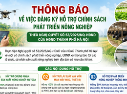 THÔNG BÁO
Về việc đăng ký hỗ trợ chính sách phát triển nông nghiệp theo Nghị quyết số 53/2025/NQ-HĐND của HĐND Thành phố Hà Nội