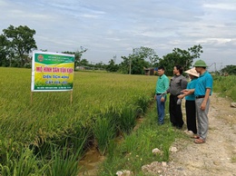 HỘI NÔNG DÂN XÃ ỨNG HÒA TRIỂN KHAI HIỆU QUẢ MÔ HÌNH 