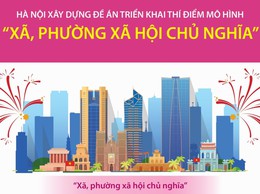 Hà Nội xây dựng đề án thí điểm mô hình 