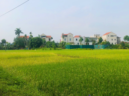 Xã Yên Lãng khuyến cáo người dân không đốt, phơi rơm rạ trên đường