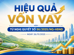 Hiệu quả vốn vay từ Nghị quyết số 56/2025/NQ-HĐND ngày 26/11/2025