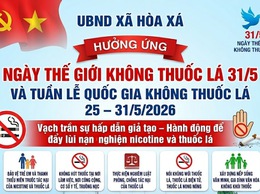 Hưởng ứng Ngày Thế giới Không Thuốc lá (31/5/2026):
ĐỪNG ĐỂ THUỐC LÁ 