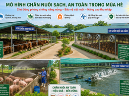 Chủ động phòng chống nắng nóng cho đàn vật nuôi và thủy sản