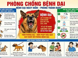 BÀI TUYÊN TRUYỀN PHÒNG CHỐNG BỆNH DẠI