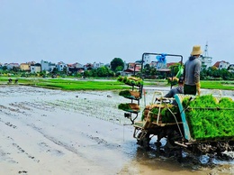 Xã Ô Diên tổ chức rà soát, đăng ký nhu cầu hỗ trợ
các tổ chức, cá nhân sản xuất nông nghiệp trước ngày 28/5/2026
