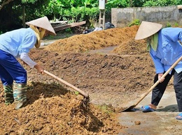 Hướng dẫn thu gom, xử lý và tái sử dụng rơm rạ sau thu hoạch