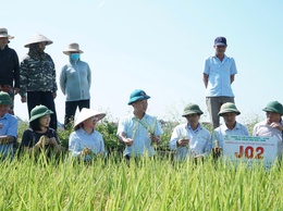 Hội nghị sơ kết công tác sản xuất vụ Xuân năm 2026, đánh giá kết quả thực hiện mô hình lúa J02 và triển khai kế hoạch sản xuất vụ Mùa, vụ Đông năm 2026–2027