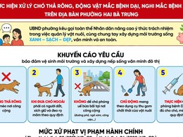 Thông báo: xử lý chó thả rông, động vật mắc bệnh dại, nghi mắc bệnh dại trên địa bàn phường Hai Bà Trưng.