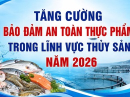 Bài tuyên truyền về tăng cường bảo đảm an toàn thực phẩm trong lĩnh vực thủy sản năm 2026