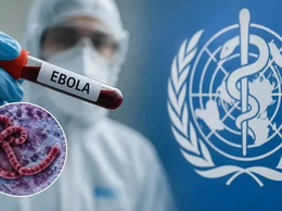 Phòng chống bệnh do Ebola Virus