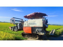 CHI HỘI NÔNG DÂN THÔN YÊN NỘI THỰC HIỆN MÔ HÌNH CƠ GIỚI HÓA ĐỒNG BỘ GẮN VỚI TIÊU THỤ SẢN PHẨM LÚA TƯƠI