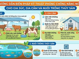 Hướng dẫn biện pháp kỹ thuật phòng chống nắng nóng cho gia súc, gia cầm và nuôi trồng thủy sản