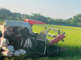 Một số nội dung cần lưu ý khi thu hoạch lúa vụ Xuân năm 2026