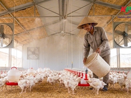 BÀI TUYÊN TRUYỀN: 