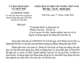 Báo cáo tình hình sử dụng lao động 6 tháng đầu năm 2026 trên địa bàn xã Trần Phú
