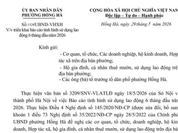 UBND phường Hồng Hà triển khai báo cáo tình hình sử dụng lao động 6 tháng đầu năm 2026