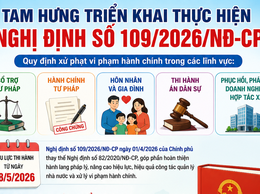 Nâng cao hiệu lực, hiệu quả công tác xử lý vi phạm hành chính trong lĩnh vực tư pháp