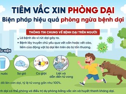 Bài truyền thông:
Những điều cần biết về bệnh dại