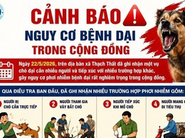 Cảnh báo nguy cơ bệnh dại trong cộng đồng