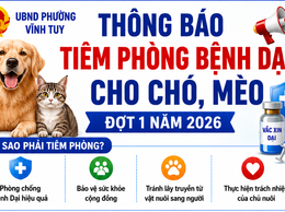 THÔNG BÁO TIÊM PHÒNG BỆNH DẠI CHO CHÓ, MÈO ĐỢT 1 NĂM 2026
