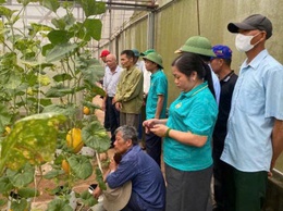 HỘI NÔNG DÂN HAI XÃ ỨNG THIÊN - ỨNG HÒA TỔ CHỨC THAM QUAN, HỌC TẬP CÁC MÔ HÌNH PHÁT TRIỂN KINH TẾ HIỆU QUẢ