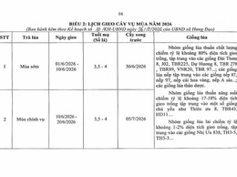 LỊCH GIEO CẤY VỤ MÙA NĂM 2026
