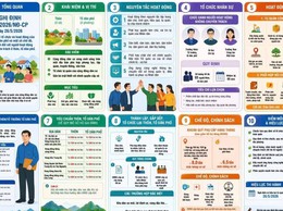 Nghị định số 185/2026/NĐ-CP ngày 26/5/2026 của Chính phủ quy định về tổ chức, hoạt động của thôn, tổ dân phố và chế độ, chính sách đối với người hoạt động không chuyên trách ở thôn, tổ dân phố