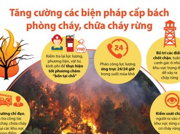 NỘI DUNG TUYÊN TRUYỀN, TĂNG CƯỜNG CÁC BIỆN PHÁP PHÒNG CHÁY RỪNG TRONG CAO ĐIỂM NẮNG NÓNG