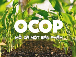 Công khai Danh sách các sản phẩm OCOP đã được chứng nhận trên địa bàn xã Đông Anh