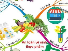 Tiếp tục nâng cao trách nhiệm của người sản xuất, kinh doanh thực phẩm
