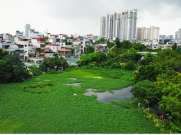 Phường Khương Đình triển khai kế hoạch GPMB dự án hồ Rẻ Quạt
