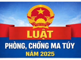 Phường Kiến Hưng quyết liệt triển khai Luật Phòng, chống ma túy năm 2025