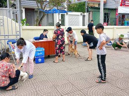 Bát Tràng chủ động, quyết liệt trong công tác phòng, chống dịch bệnh cho đàn vật nuôi