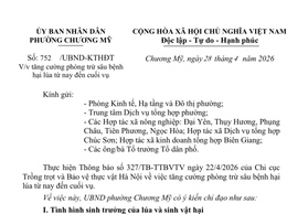 Chương Mỹ tăng cường phòng trừ sâu bệnh hại lúa từ nay đến cuối vụ