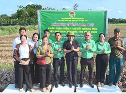 Hội Nông dân xã Phúc Thọ tổ chức dâng hương tri ân tại Đền thờ các Anh hùng Liệt sỹ Phúc Thọ và gắn biển mô hình trồng hoa Huệ tại xứ đồng Bến